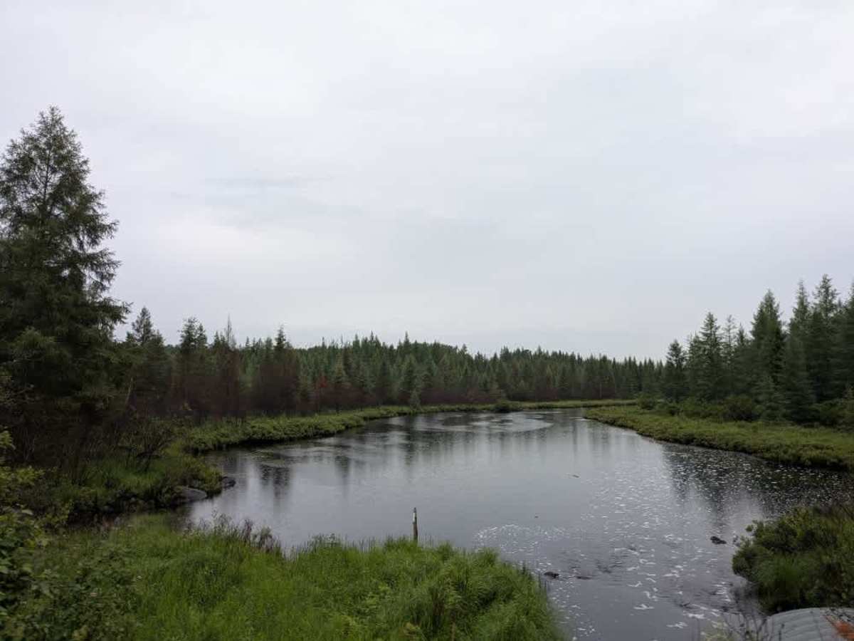 Cranberry Lake photo 2