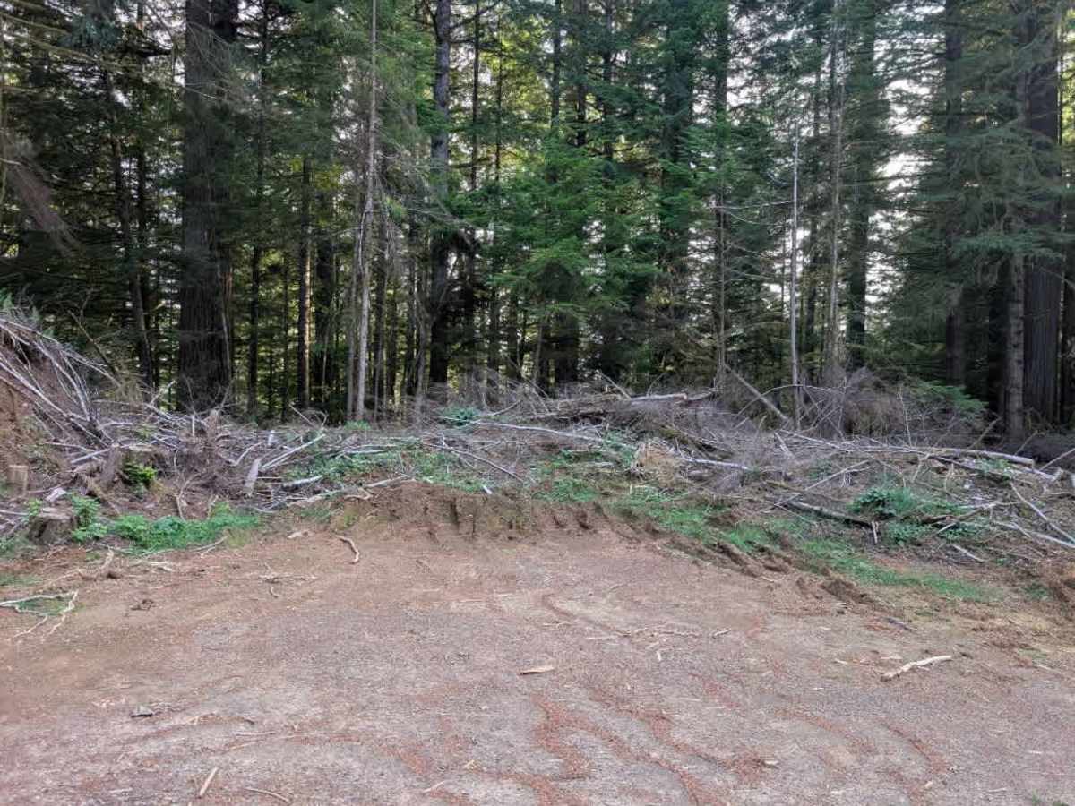 FS 5840634 trail photo