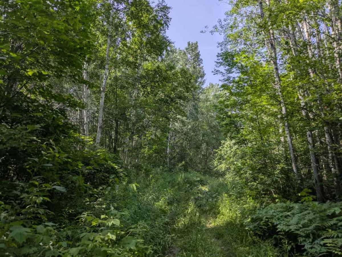 Pocket Lake photo 2