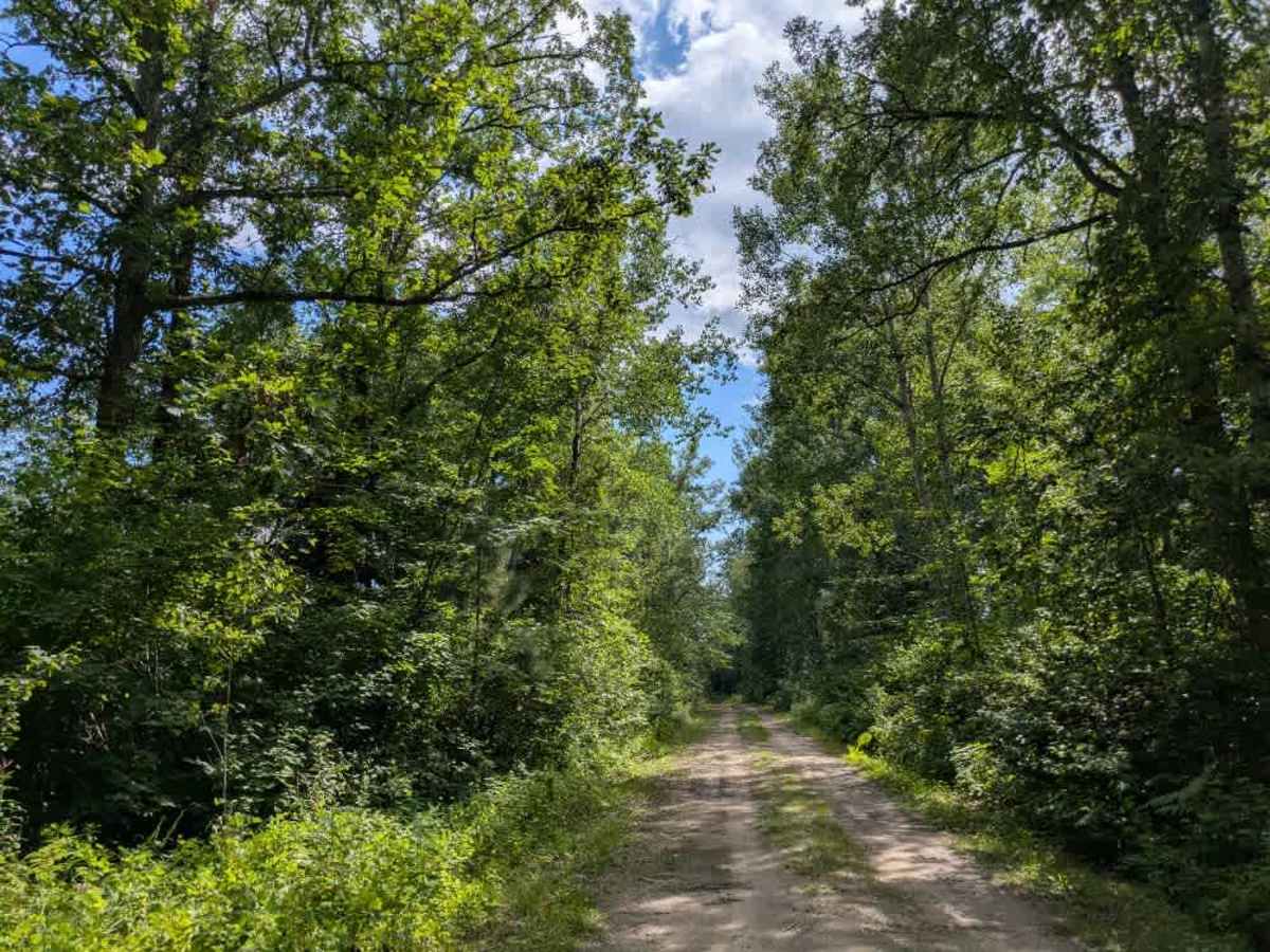  North Winnie Camp Lane photo 3