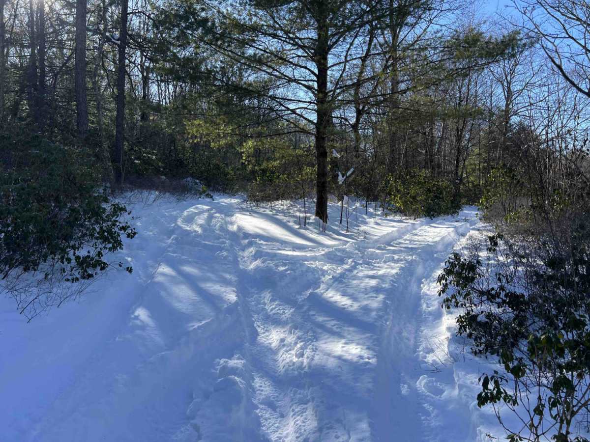 Shriner Mountain West Road trail photo