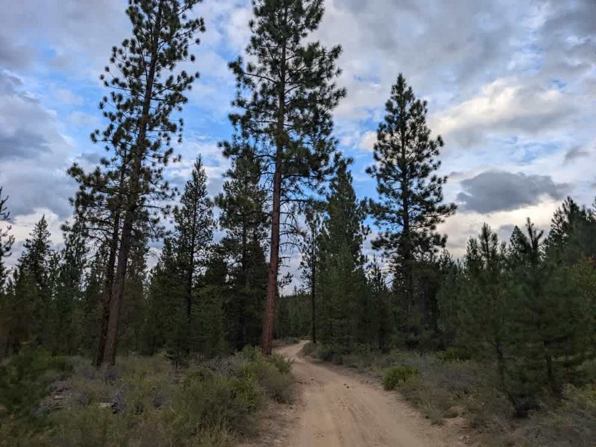 FS 4400330, Oregon | Off-Road Trail Maps, Difficulty, Trail Status ...