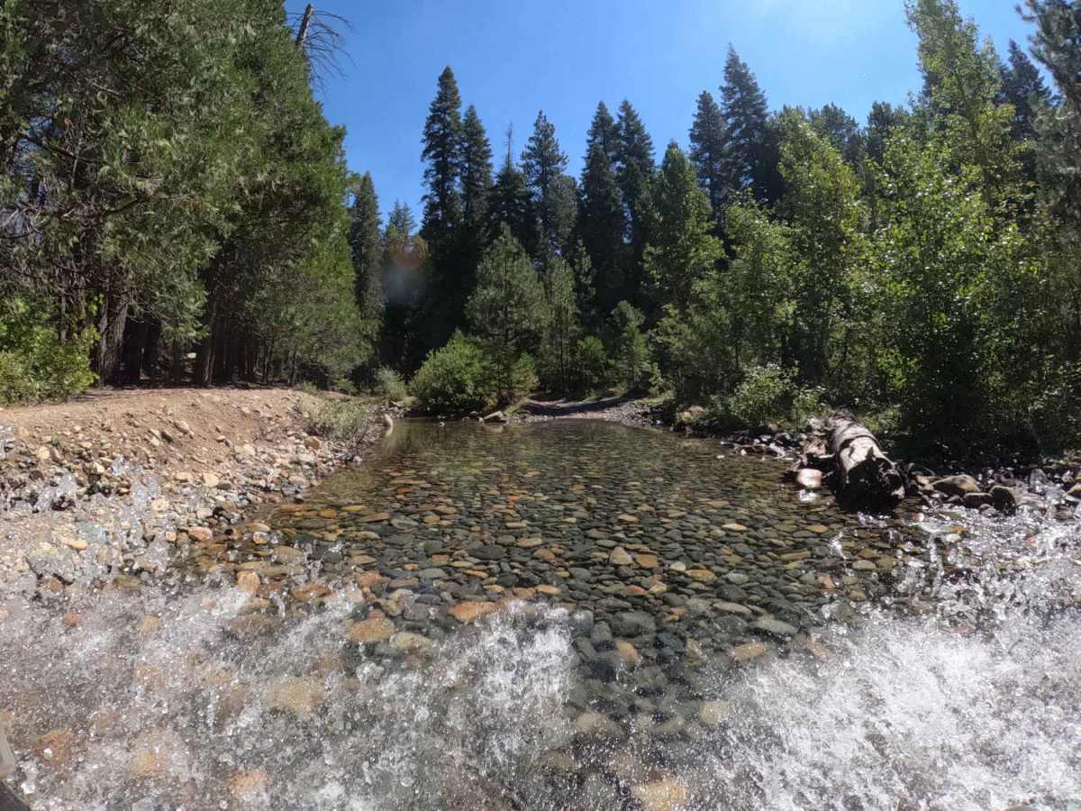 Boneyard Meadow - FS 6S072 trail photo