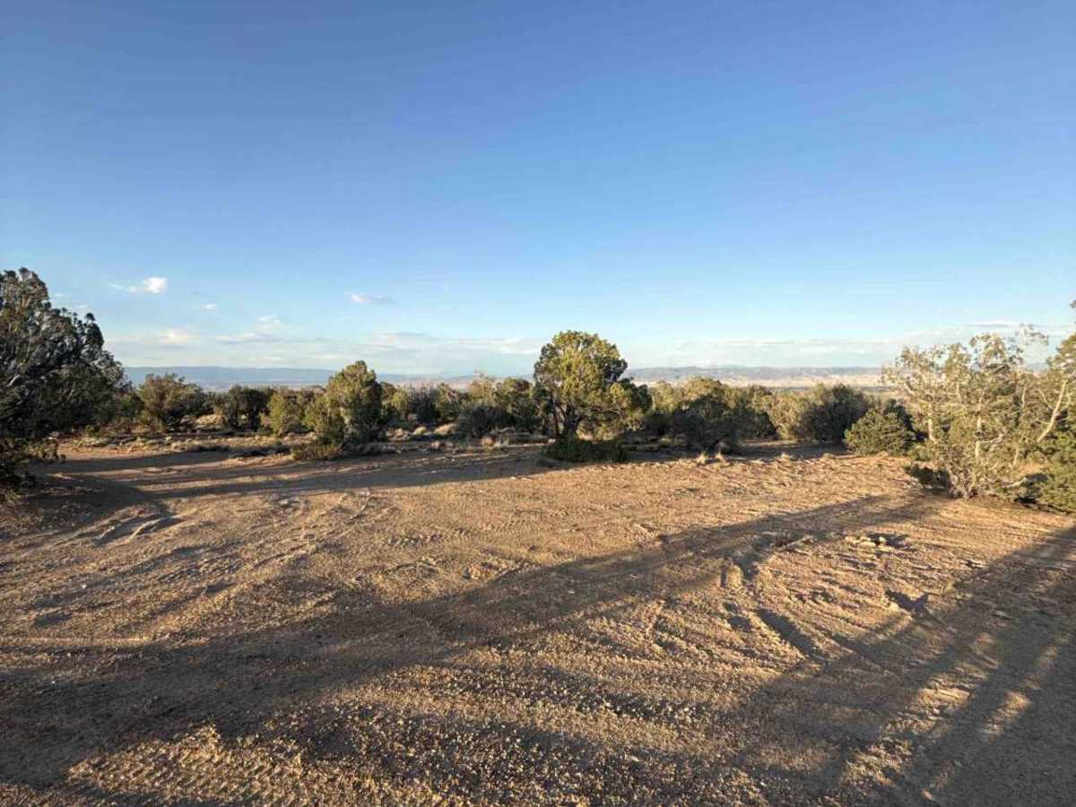 West Transfer Road photo 4