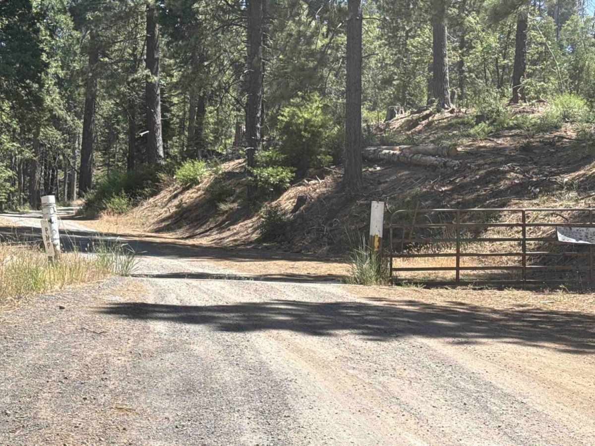 FS 3N69 photo 2