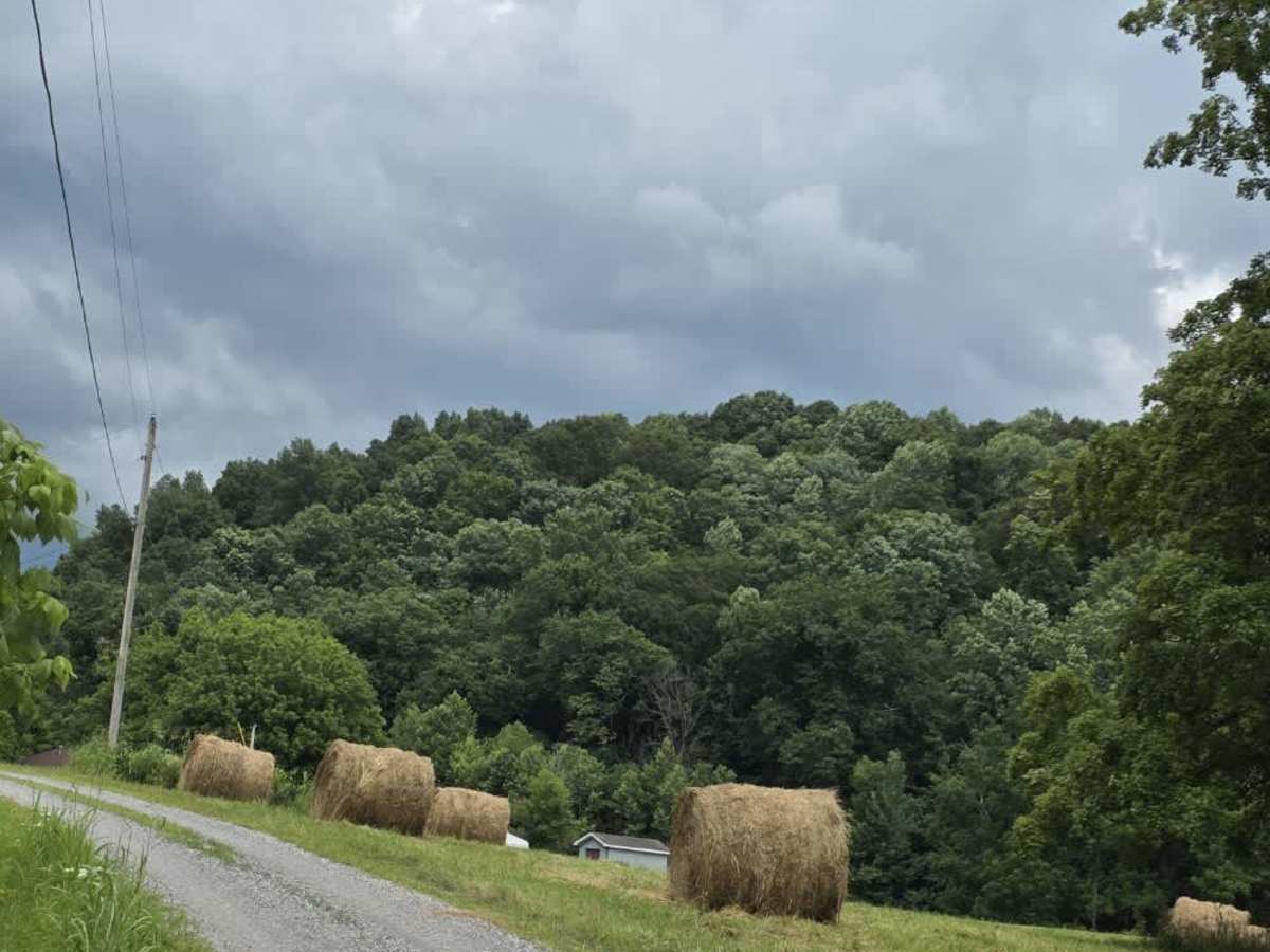 Puncheon Creek Road - Macon County Tour photo 2