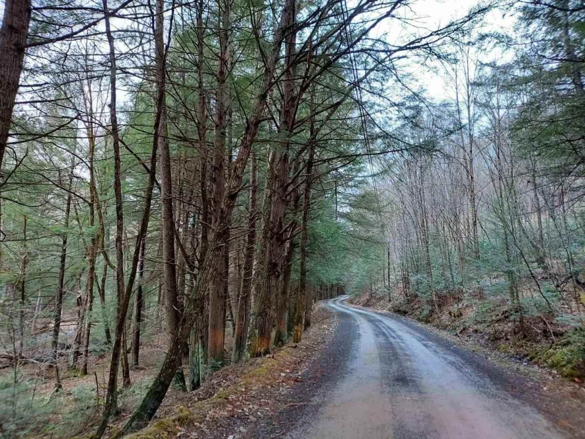 Hunts Run Road photo 5