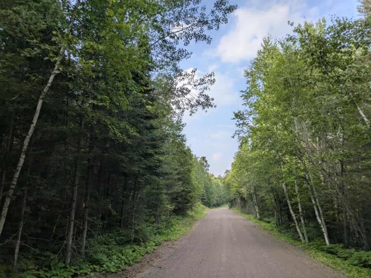 Caribou Trail photo 3