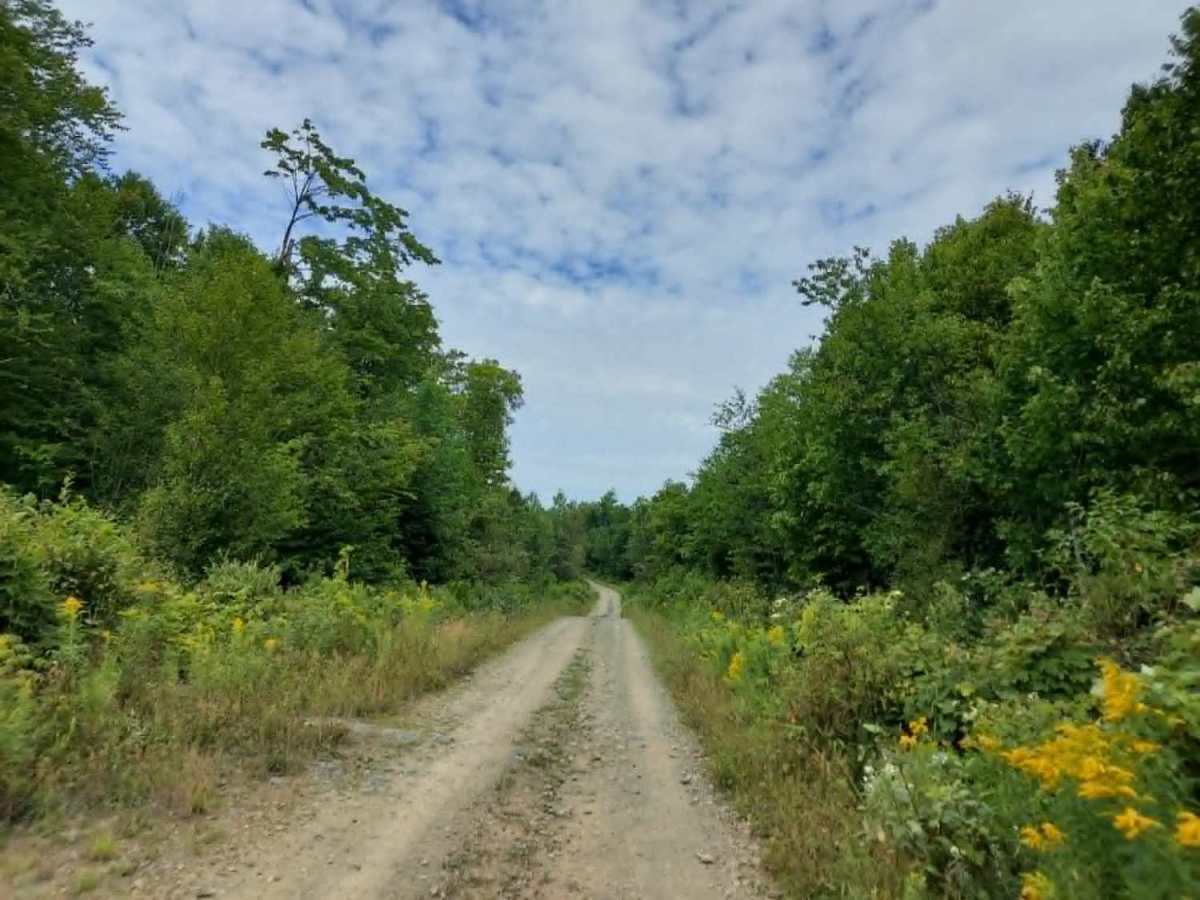 Link Trail trail photo