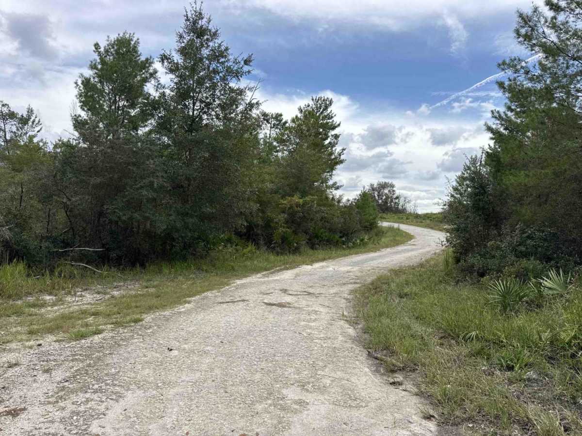 Scrub Road photo 2
