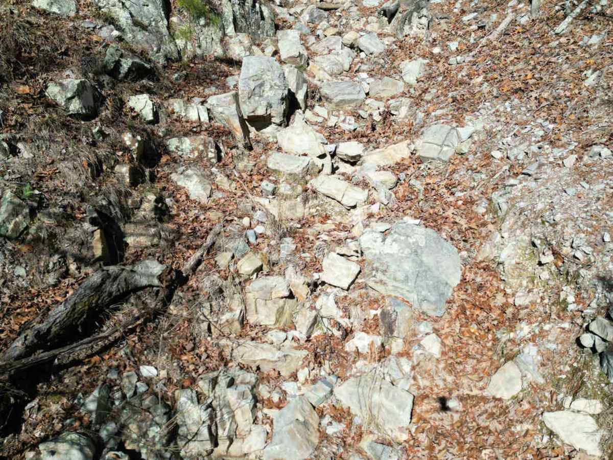 E1 Too Easy photo 6