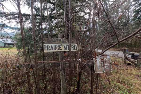 Prairie Mountain - FS 2140