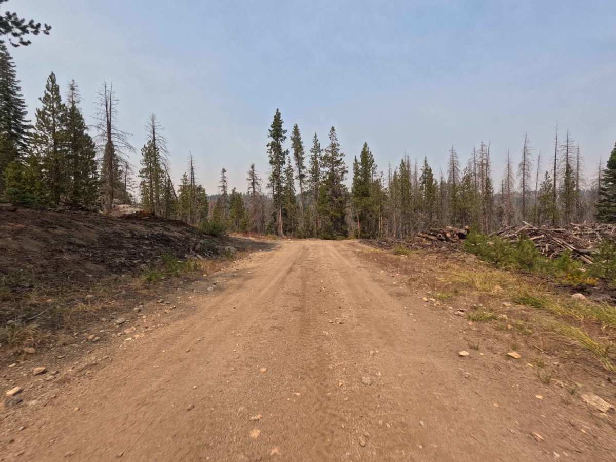 Tamarack Creek - FS 9s066 photo 6