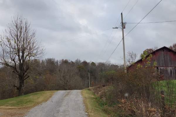 Puncheon Creek Road - Macon County Tour