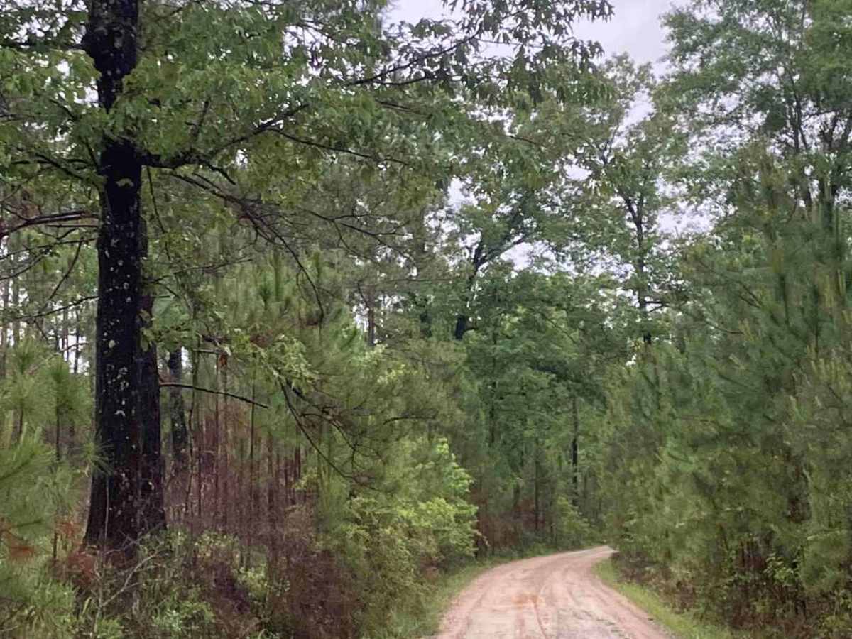Camp Lowery Road photo 3