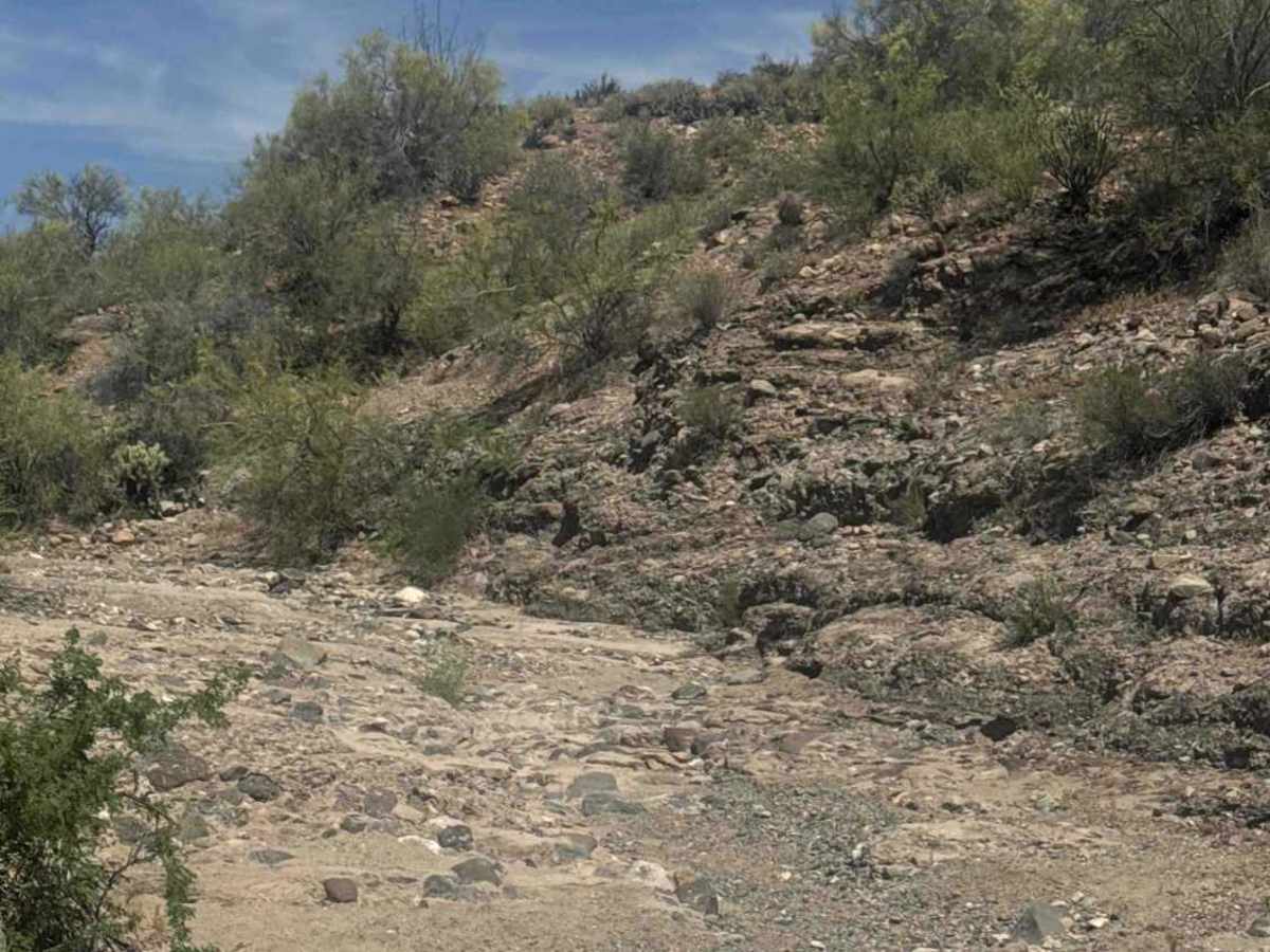 BLM 28065 photo 4