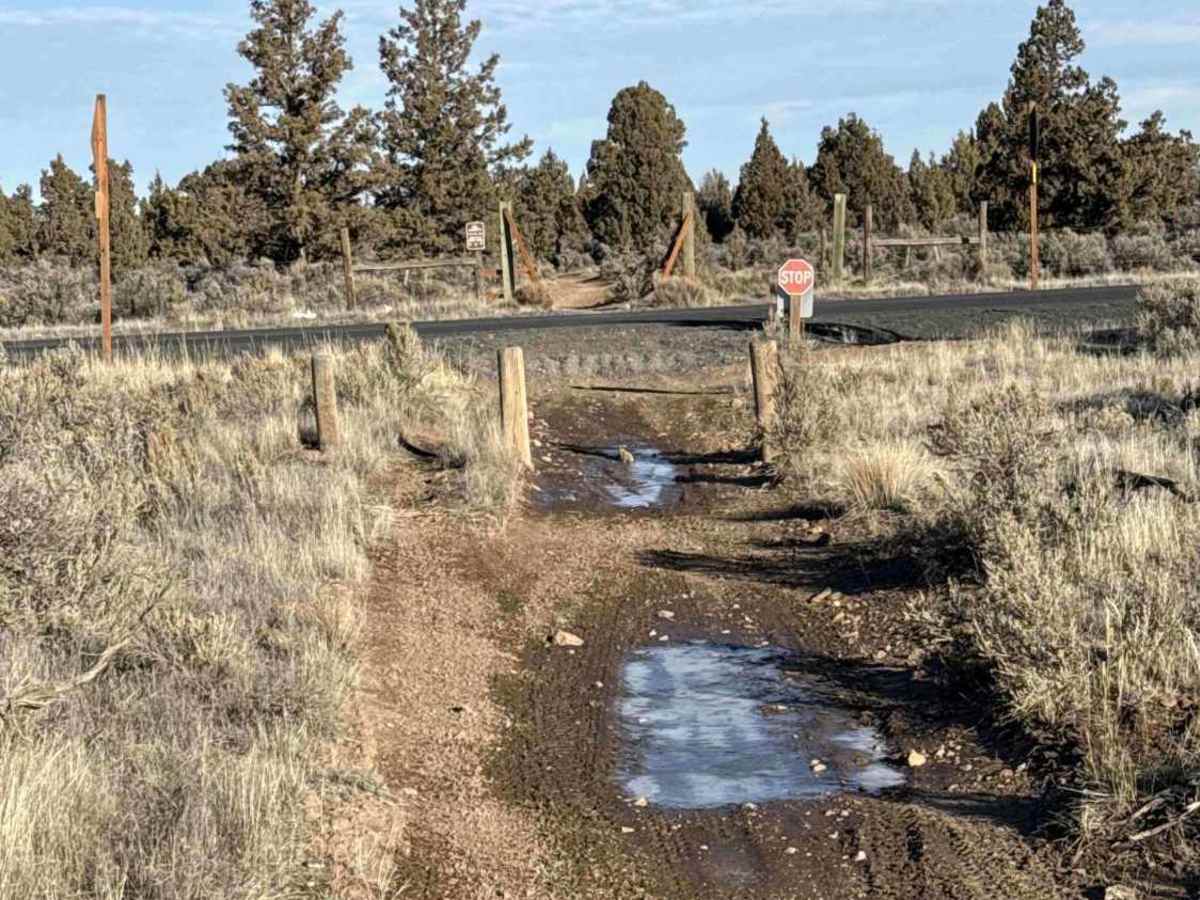 Millican Plateau OHV Trail 55 photo 4
