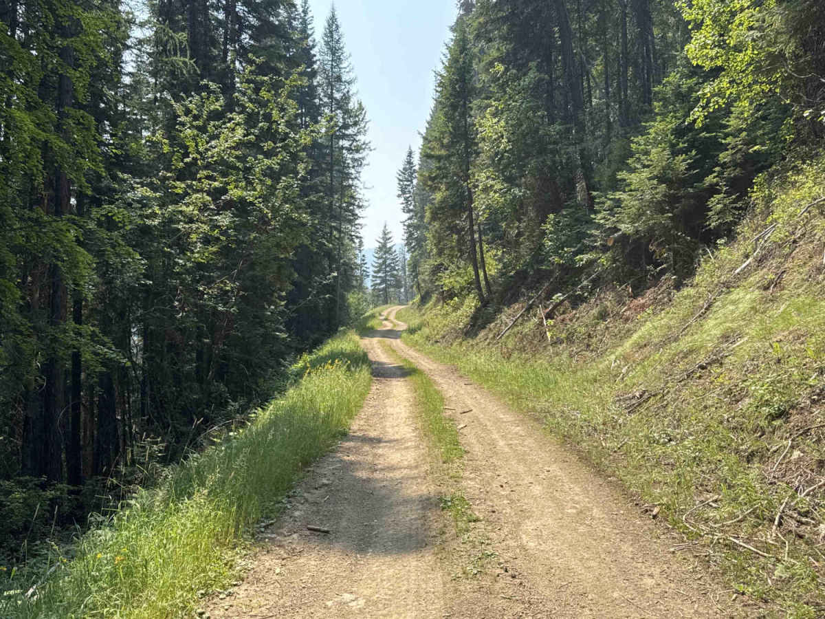 Rivers Creek - FS 3820 photo 3