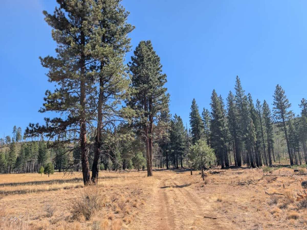 FS 32N67Y trail photo