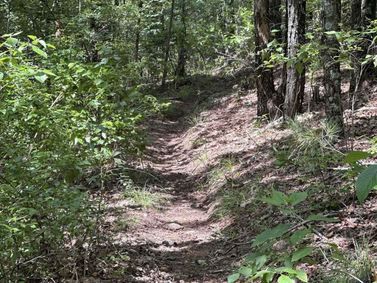 Race Track trail photo