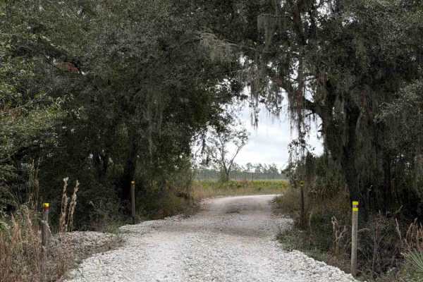 Road 19 - Three Lakes WMA