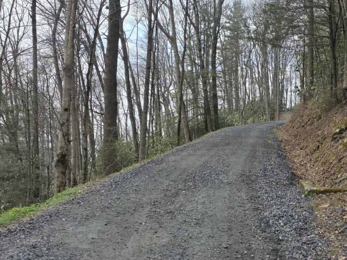 Ephraim Road - FS 5583 trail photo