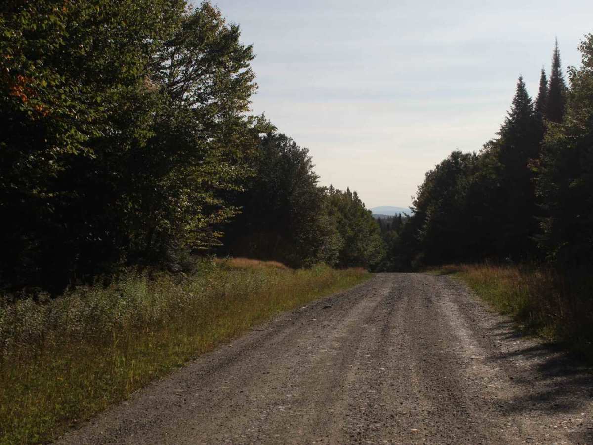 Smith Brook Road trail photo