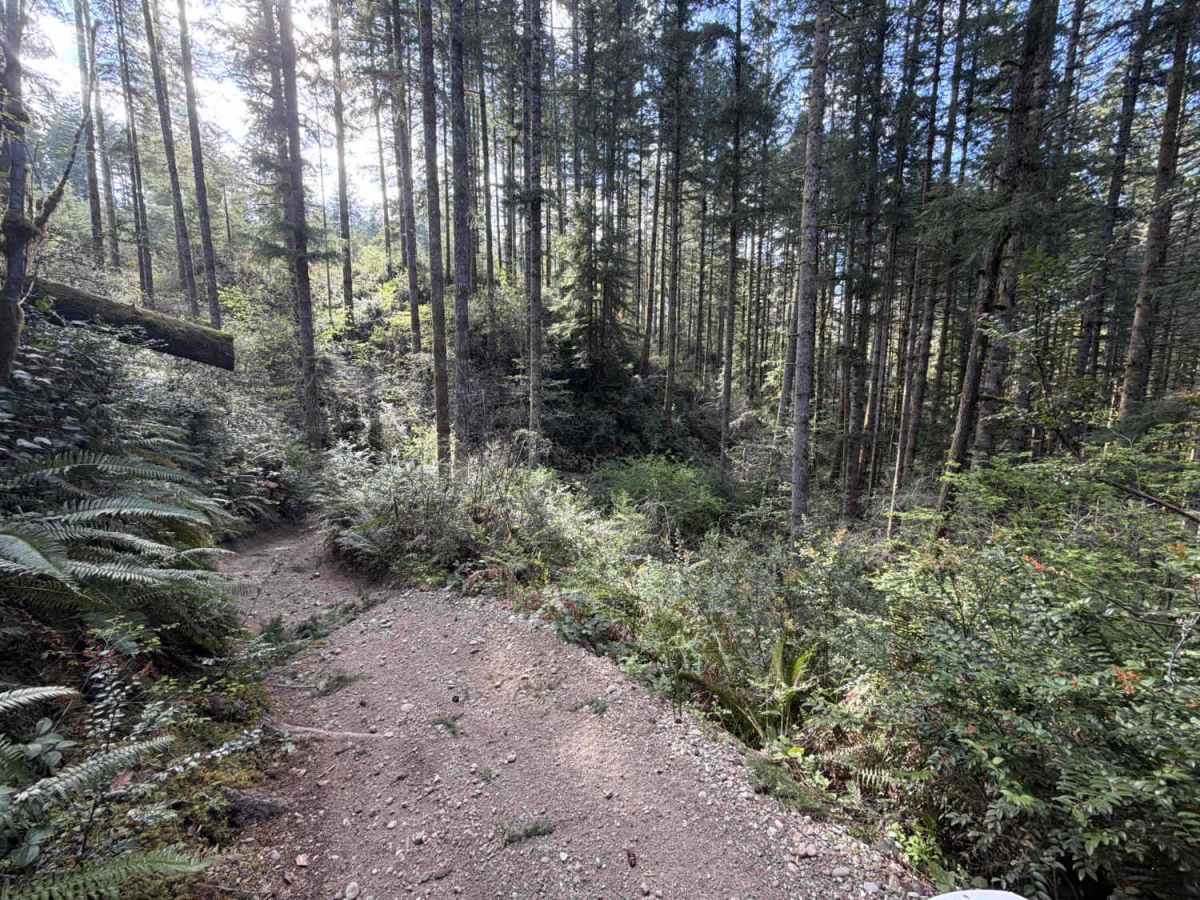 Mission Creek photo 2