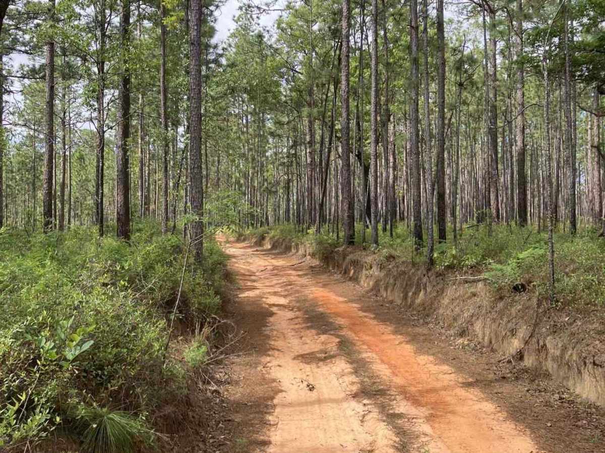 S86 photo 3