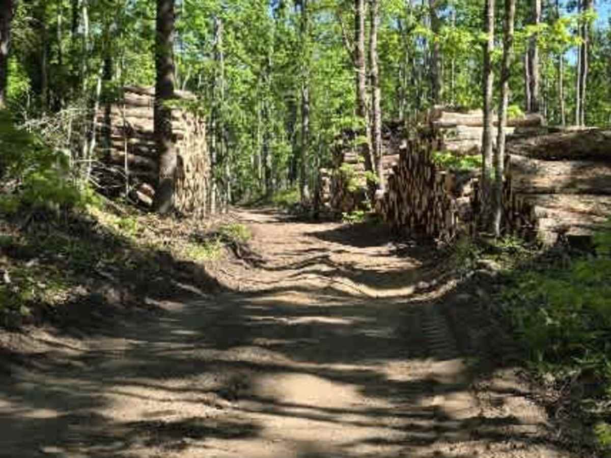 Backwoods Bypass photo 3