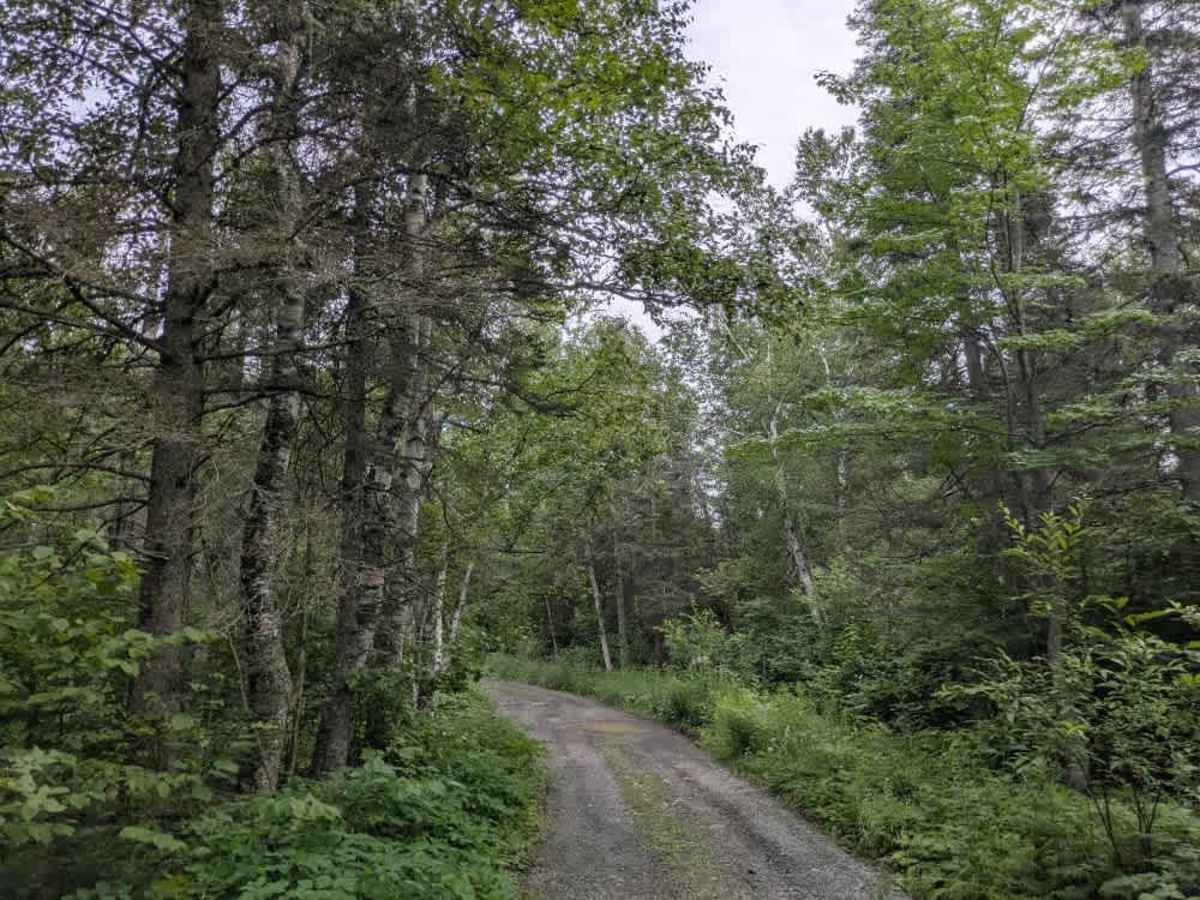 Devilfish Overlook trail photo