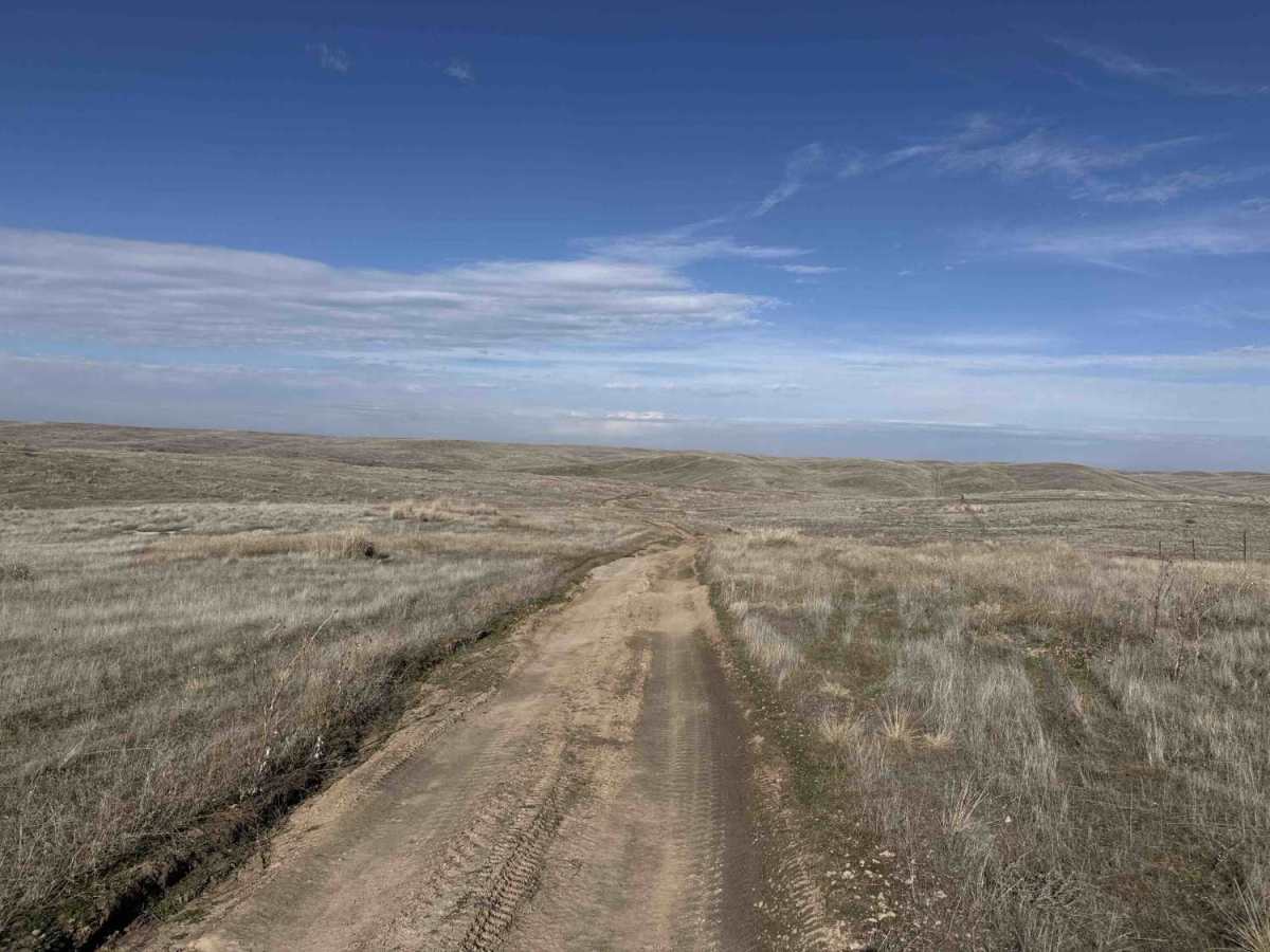 South Curlew Connector photo 4