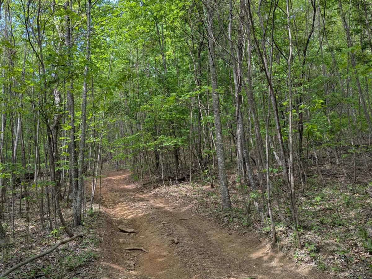 Trail 30 photo 4