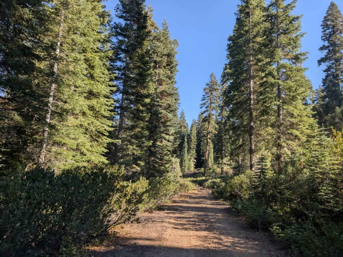 Willow Creek Road  trail photo