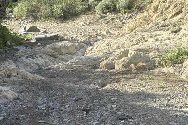 Morgan City Wash 