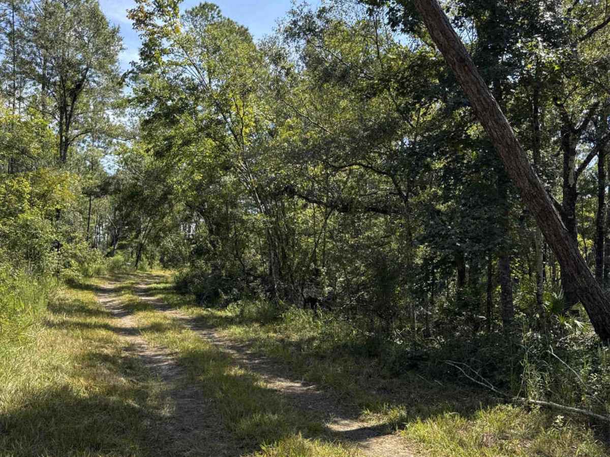 Warbler Loop North photo 6