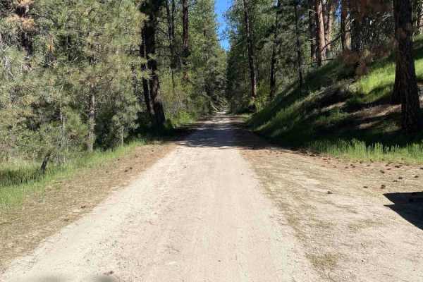 Cottonwood Creek Road - FS 377