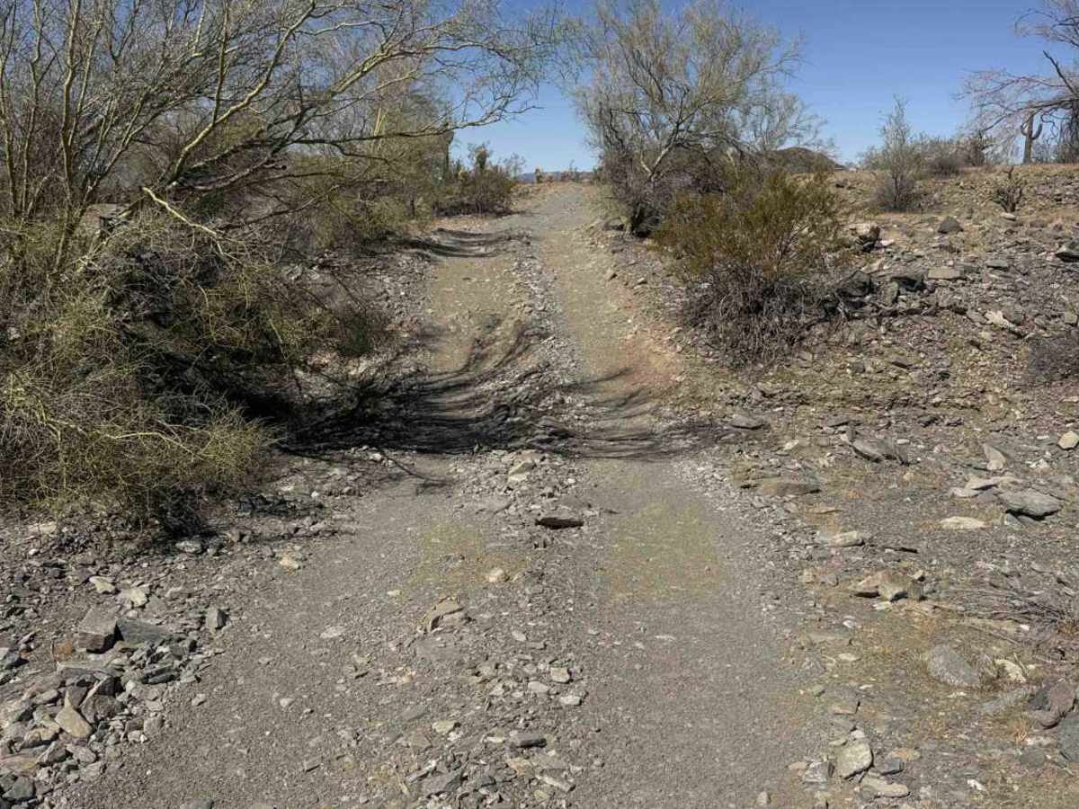 Cholla Ridge  photo 2