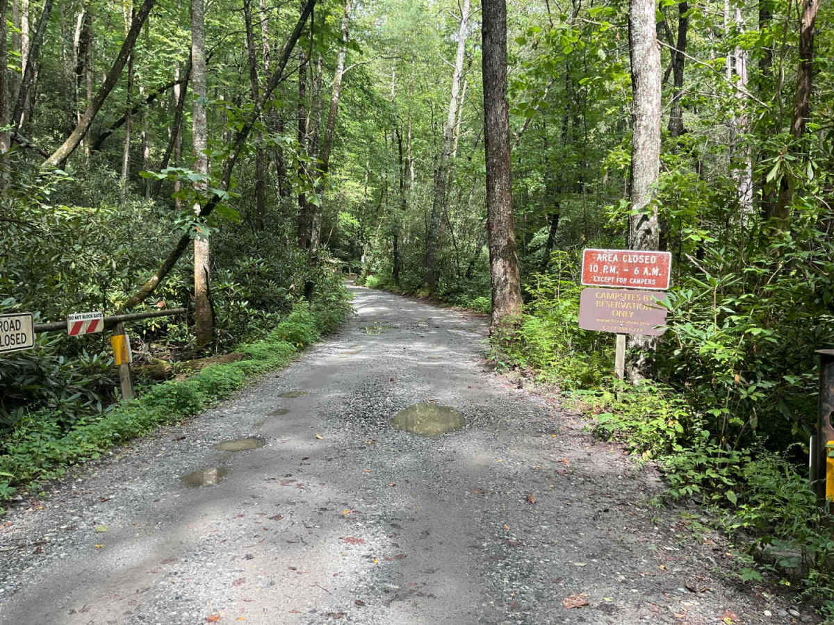 FS-44A Upper Low Gap Creek photo 2