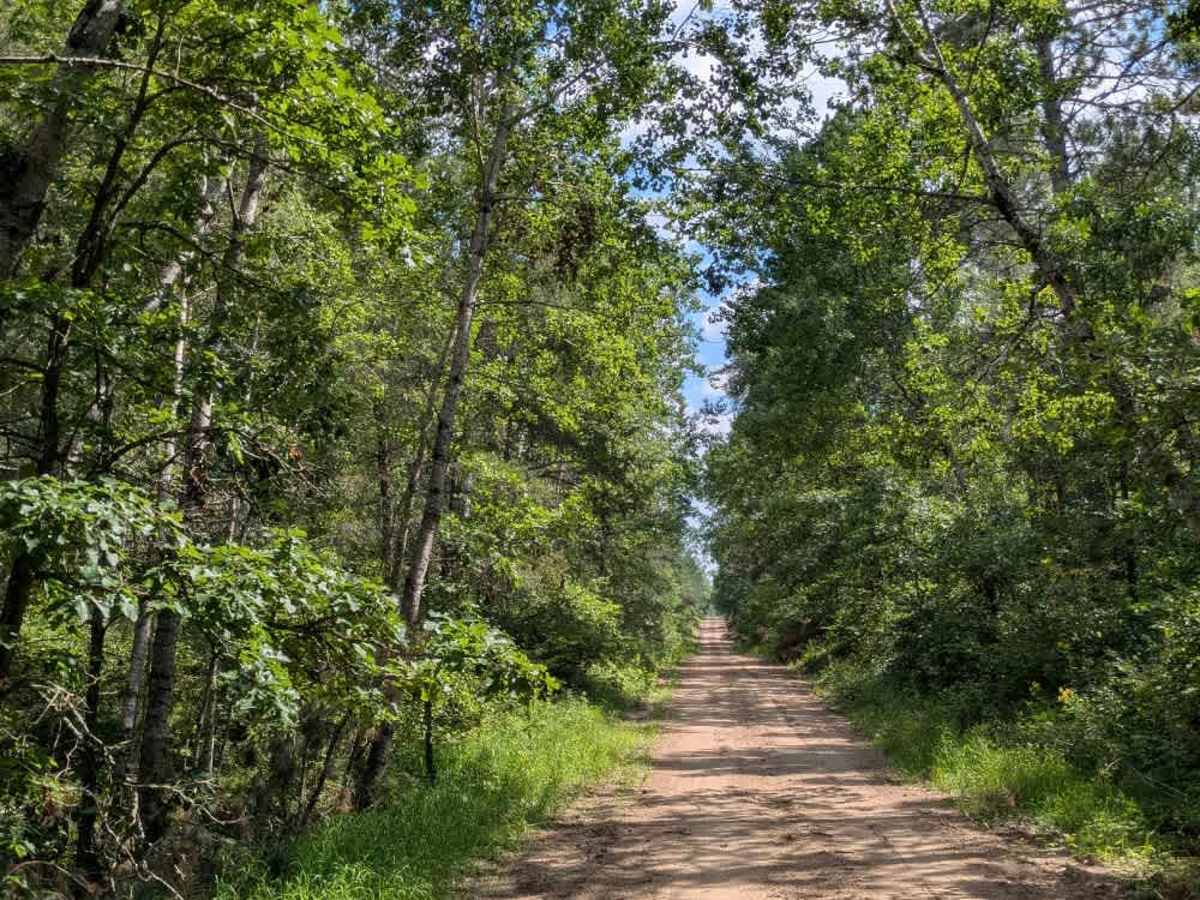 Cass River Road Southeast photo 3
