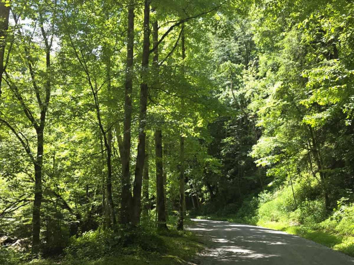 Upper Tremont Road photo 4