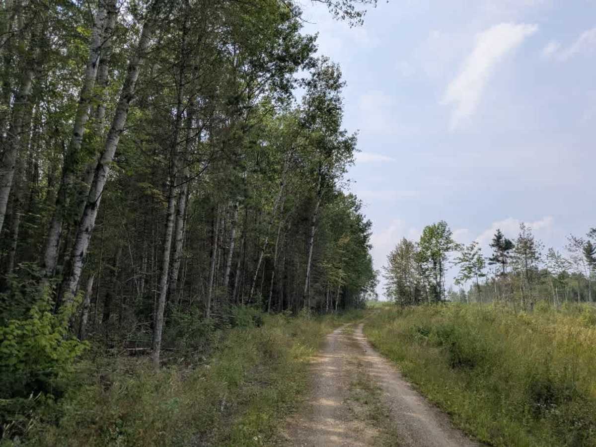Cutacross Road photo 6
