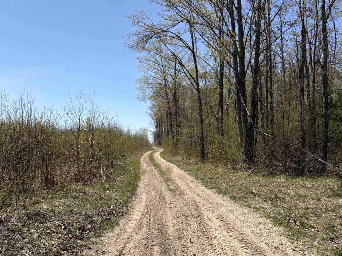 West Marker trail photo