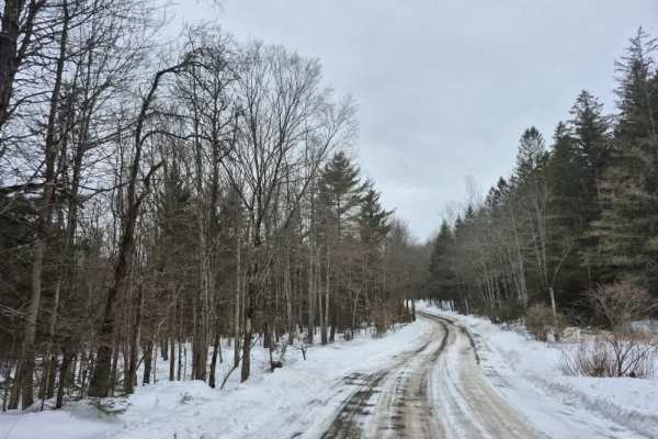 Cook Hill Road