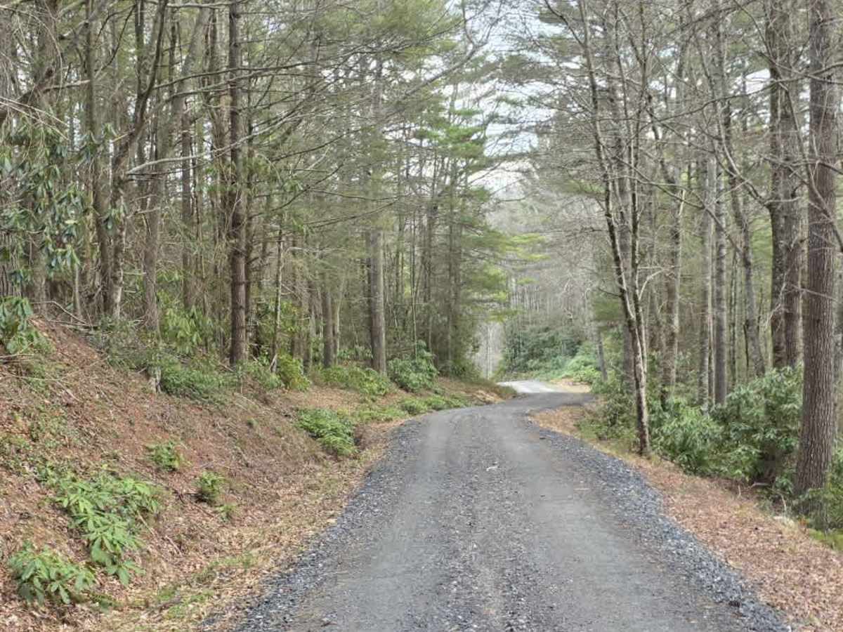 Flat Top Road photo 6