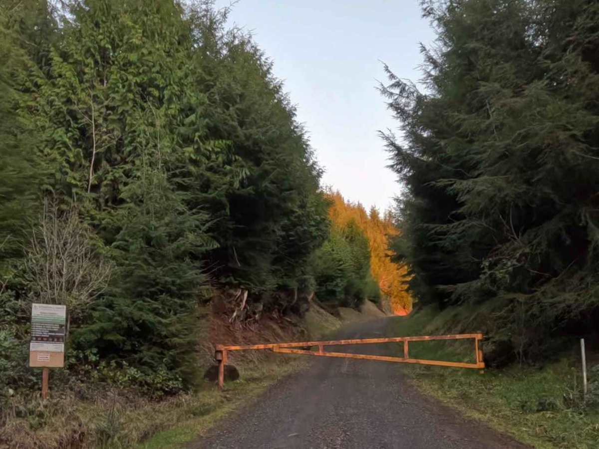 Simmons Ridge Road trail photo