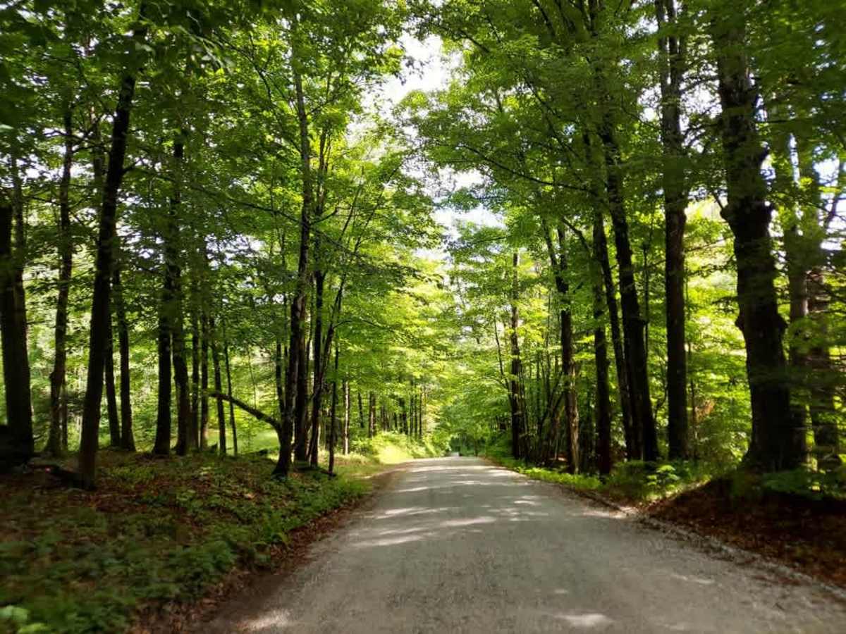 Bridgewater Hill Road trail photo