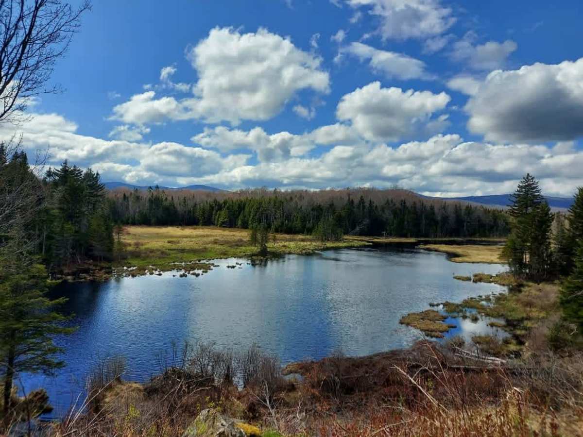 Smith Woods Trail photo 3