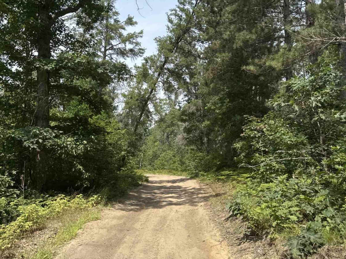 Alcona H7 photo 6