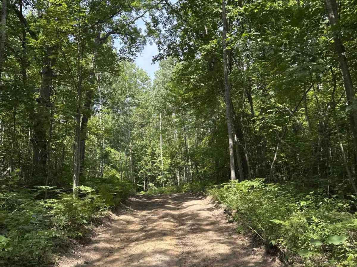 Ann Arbor Trail H7 photo 5